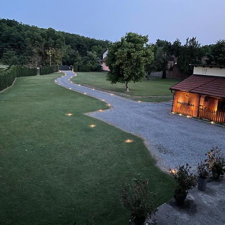 Modern House Surrounded By Nature Grabrov Potok Kültér fotó
